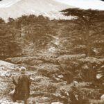 Charles Ough presenting at the 2025 BRISMES Conference in Newcastle 